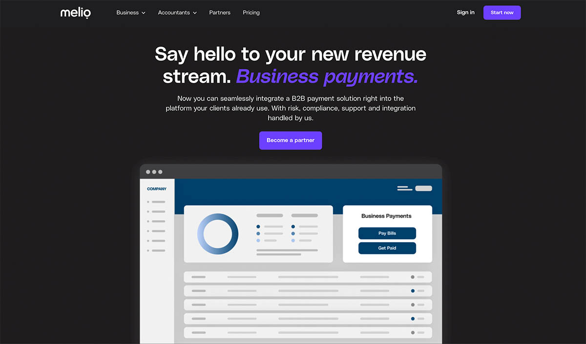 Melio B2B Strategic Financial Audit